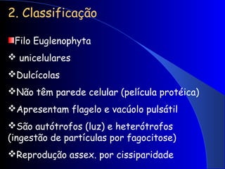 2. Classificação
Filo Euglenophyta
 unicelulares
Dulcícolas
Não têm parede celular (película protéica)
Apresentam flagelo e vacúolo pulsátil
São autótrofos (luz) e heterótrofos
(ingestão de partículas por fagocitose)
Reprodução assex. por cissiparidade
 