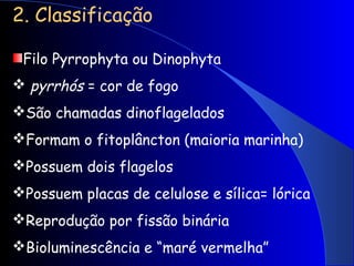 2. Classificação
Filo Pyrrophyta ou Dinophyta
 pyrrhós = cor de fogo
São chamadas dinoflagelados
Formam o fitoplâncton (maioria marinha)
Possuem dois flagelos
Possuem placas de celulose e sílica= lórica
Reprodução por fissão binária
Bioluminescência e “maré vermelha”
 