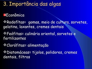 3. Importância das algas
Econômica
Rodofítas= gomas, meio de cultura, sorvetes,
gelatina, laxantes, cremes dentais
Feófitas= culinária oriental, sorvetes e
fertilizantes
Clorófitas= alimentação
Diatomáceas= tijolos, polidores, cremes
dentais, filtros
 