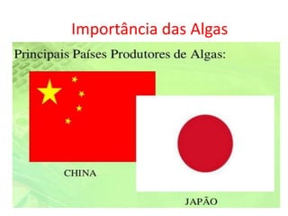 Importância das Algas
 