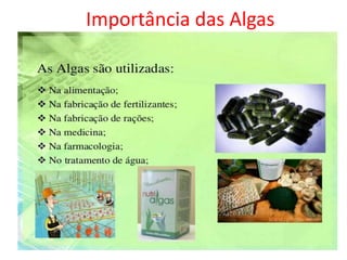 Importância das Algas
 