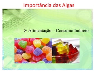 Importância das Algas
 