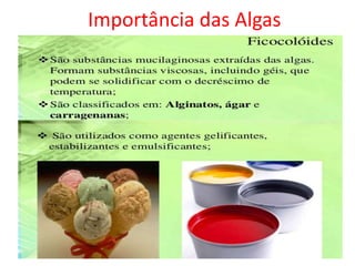 Importância das Algas
 
