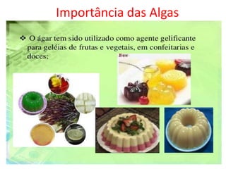 Importância das Algas
 