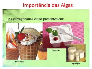 Importância das Algas
 