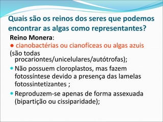 Quais são os reinos dos seres que podemos
encontrar as algas como representantes?
Reino Monera:
● cianobactérias ou cianofíceas ou algas azuis
(são todas
procariontes/unicelulares/autótrofas);
 Não possuem cloroplastos, mas fazem
fotossíntese devido a presença das lamelas
fotossintetizantes ;
 Reproduzem-se apenas de forma assexuada
(bipartição ou cissiparidade);
 