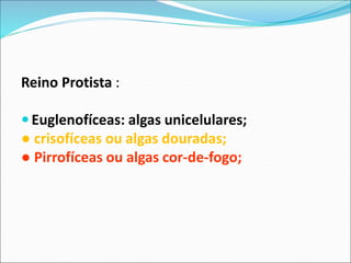 Reino Protista :
 Euglenofíceas: algas unicelulares;
● crisofíceas ou algas douradas;
● Pirrofíceas ou algas cor-de-fogo;
 