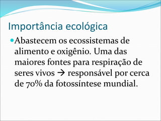 Importância ecológica
Abastecem os ecossistemas de
alimento e oxigênio. Uma das
maiores fontes para respiração de
seres vivos  responsável por cerca
de 70% da fotossíntese mundial.
 