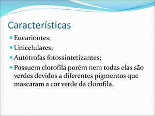 Características
 Eucariontes;
 Unicelulares;
 Autótrofas fotossintetizantes;
 Possuem clorofila porém nem todas elas são
verdes devidos a diferentes pigmentos que
mascaram a cor verde da clorofila.
 
