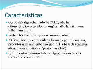 Características
 Corpo das algas chamado de TALO, não há
diferenciação de tecidos ou órgãos. Não há raiz, nem
folha nem caule.
 Podem formar dois tipos de comunidades:
 A) fitoplâncton: comunidade formada por microalgas,
produtoras de alimento e oxigênio. É a base das cadeias
alimentares aquáticas (“pasto marinho”).
 B) fitobentos: comunidade de algas macroscópicas
fixas no solo marinho.
 