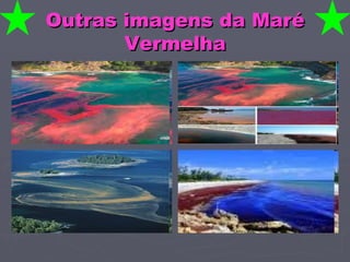 Outras imagens da Maré Vermelha 
