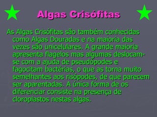 Algas Crisófitas As Algas Crisófitas são também conhecidas como Algas Douradas e na maioria das vezes são unicelulares. A grande maioria apresenta flagelos mas algumas deslocam-se com a ajuda de pseudópodes e fagocitam bactérias, o que as torna muito semelhantes aos risópodes, de que parecem ser aparentadas. A única forma de os diferenciar consiste na presença de cloroplastos nestas algas.   