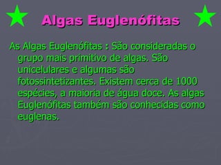 Algas Euglenófitas As Algas Euglenófitas  :  São consideradas o grupo mais primitivo de algas. São unicelulares e algumas são fotossintetizantes. Existem cerca de 1000 espécies, a maioria de água doce. As algas Euglenófitas também são conhecidas como euglenas. 