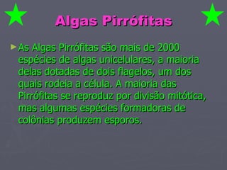 Algas Pirrófitas As Algas Pirrófitas são mais de 2000 espécies de algas unicelulares, a maioria delas dotadas de dois flagelos, um dos quais rodeia a célula. A maioria das Pirrófitas se reproduz por divisão mitótica, mas algumas espécies formadoras de colônias produzem esporos.  