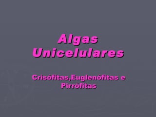 Algas Unicelulares Crisófitas,Euglenófitas e Pirrófitas 
