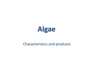 Characteristics and products
Algae
 