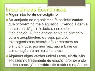 Importâncias Econômicas 
Algas são fonte de oxigênio 
Ao conjunto de organismos fotossintetizantes 
que ocorrem no meio aquático, vivendo à deriva 
na coluna d'água, é dado o nome de 
fitoplâncton. O fitoplâncton serve de alimento 
para o zooplâncton, ou seja, para os 
microrganismos heterótrofos presentes no 
plâncton, que, por sua vez, são a base da 
alimentação de animais maiores. 
Algumas algas verdes unicelulares, ainda, são 
eficazes no tratamento do esgoto, promovendo 
a decomposição aeróbica de resíduos orgânicos 
 
