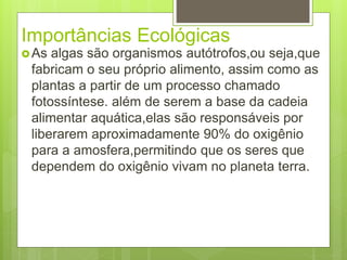 Importâncias Ecológicas 
As algas são organismos autótrofos,ou seja,que 
fabricam o seu próprio alimento, assim como as 
plantas a partir de um processo chamado 
fotossíntese. além de serem a base da cadeia 
alimentar aquática,elas são responsáveis por 
liberarem aproximadamente 90% do oxigênio 
para a amosfera,permitindo que os seres que 
dependem do oxigênio vivam no planeta terra. 
 