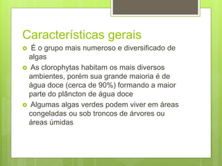 Características gerais 
 É o grupo mais numeroso e diversificado de 
algas 
 As clorophytas habitam os mais diversos 
ambientes, porém sua grande maioria é de 
água doce (cerca de 90%) formando a maior 
parte do plâncton de água doce 
 Algumas algas verdes podem viver em áreas 
congeladas ou sob troncos de árvores ou 
áreas úmidas 
 