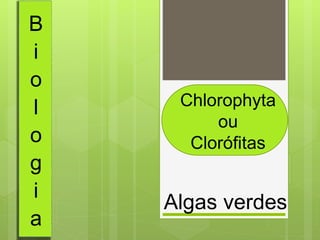 Algas verdes 
B 
i 
o 
l 
o 
g 
i 
a 
Chlorophyta 
ou 
Clorófitas 
 