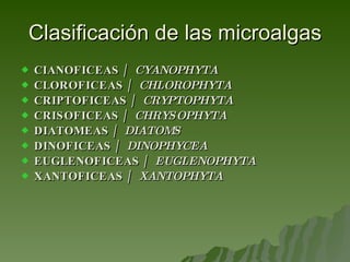Clasificación de las microalgas CIANOFICEAS /  CYANOPHYTA   CLOROFICEAS /  CHLOROPHYTA   CRIPTOFICEAS /  CRYPTOPHYTA   CRISOFICEAS /  CHRYSOPHYTA   DIATOMEAS /  DIATOMS   DINOFICEAS /  DINOPHYCEA   EUGLENOFICEAS /  EUGLENOPHYTA   XANTOFICEAS /  XANTOPHYTA   