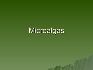 Microalgas 