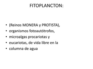 FITOPLANCTON:
• (Reinos MONERA y PROTISTA),
• organismos fotoautótrofos,
• microalgas procariotas y
• eucariotas, de vida libre en la
• columna de agua
 