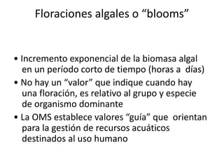 Floraciones algales o “blooms”
• Incremento exponencial de la biomasa algal
en un período corto de tiempo (horas a días)
• No hay un “valor” que indique cuando hay
una floración, es relativo al grupo y especie
de organismo dominante
• La OMS establece valores “guía” que orientan
para la gestión de recursos acuáticos
destinados al uso humano
 