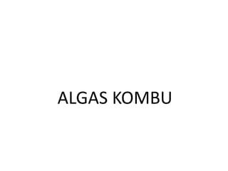 ALGAS KOMBU
 