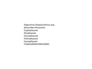 Organismos fitoplanctónicos que
desarrollan floraciones
Cryptophyceae
Dinophyceae
Chrysophyceae
Chlorophyceae
Cyanophyceae
FLAGELADOSFLORACIONES
 