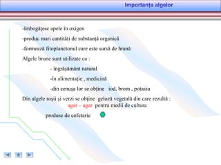 Importanţa algelor
-îmbogăţesc apele în oxigen
-produc mari cantităţi de substanţă organică
-formează fitoplanctonul care este sursă de hrană
Algele brune sunt utilizate ca :
- îngrăşământ natural
-în alimentaţie , medicină
-din cenuşa lor se obţine iod, brom , potasiu
Din algele roşii şi verzi se obţine geloză vegetală din care rezultă :
agar – agar pentru medii de cultura
produse de cofetarie
 