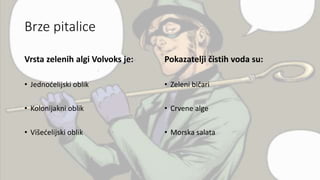 Brze pitalice
Vrsta zelenih algi Volvoks je:
• Jednoćelijski oblik
• Kolonijakni oblik
• Višećelijski oblik
Pokazatelji čistih voda su:
• Zeleni bičari
• Crvene alge
• Morska salata
 
