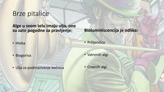 Brze pitalice
Alge u svom telu imaju ulja, one
su zato pogodne za pravljenje:
• Hleba
• Biogoriva
• Ulja za podmazivanje kočnica
Bioluminiscencija je odlika:
• Pršljenčica
• Vatrenih algi
• Crvenih algi
 