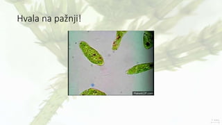 Hvala na pažnji!
 
