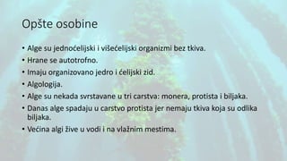 Opšte osobine
• Alge su jednoćelijski i višećelijski organizmi bez tkiva.
• Hrane se autotrofno.
• Imaju organizovano jedro i ćelijski zid.
• Algologija.
• Alge su nekada svrstavane u tri carstva: monera, protista i biljaka.
• Danas alge spadaju u carstvo protista jer nemaju tkiva koja su odlika
biljaka.
• Većina algi žive u vodi i na vlažnim mestima.
 