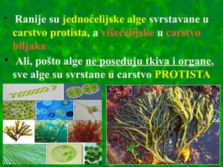 
Ranije su jednoćelijske alge svrstavane u
carstvo protista, a višećelijske u carstvo
biljaka

Ali, pošto alge ne poseduju tkiva i organe,
sve alge su svrstane u carstvo PROTISTA
 