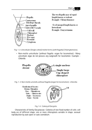 Algea, Bryo, Pterido (1).pdf