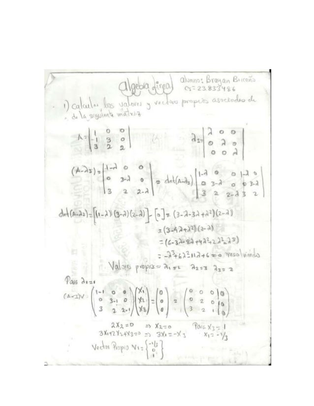 Algebra Lineal