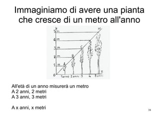 38
Immaginiamo di avere una pianta
che cresce di un metro all'anno
All'età di un anno misurerà un metro
A 2 anni, 2 metri
A 3 anni, 3 metri
A x anni, x metri
 