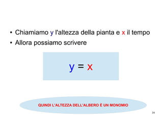 39
● Chiamiamo y l'altezza della pianta e x il tempo
● Allora possiamo scrivere
y = x
QUINDI L'ALTEZZA DELL'ALBERO È UN MONOMIO
 