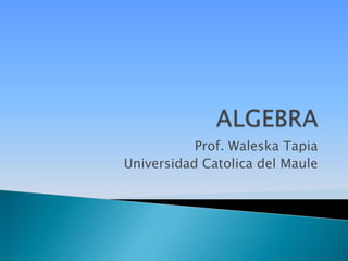 Prof. Waleska Tapia
Universidad Catolica del Maule
 