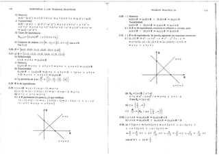 Algebra 1 Armando Rojo.pdf