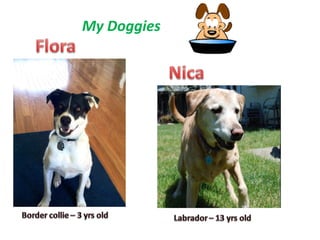 My Doggies
 