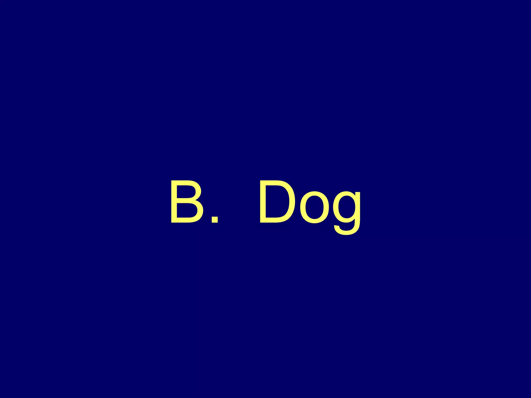 B.  Dog 