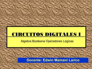 CIRCUITOS DIGITALES I
Algebra Booleana Operadores Lógicas
Docente: Edwin Mamani Larico
 