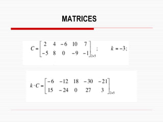 MATRICES
 