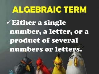 Algebraic expression