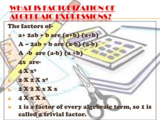 Algebraic expressions | PPTX