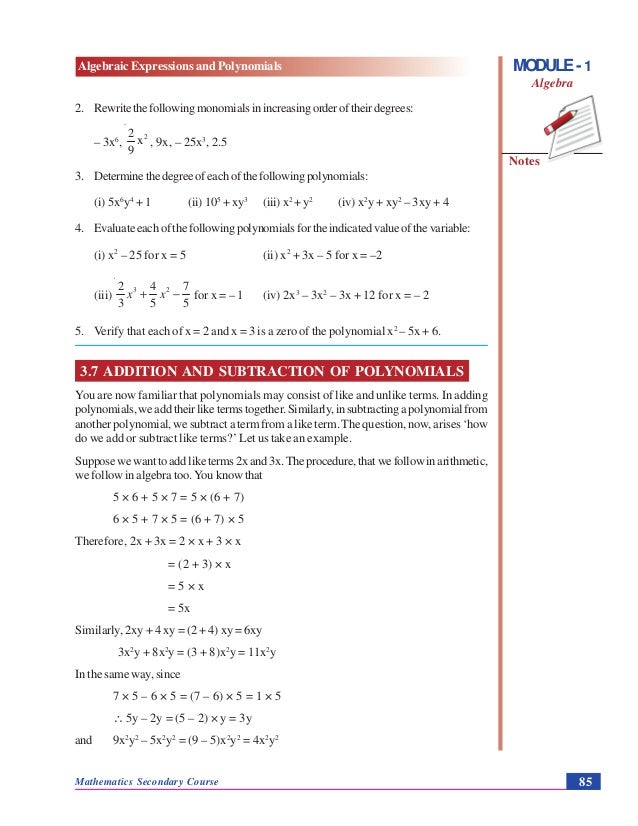 Algebraic Expressions And Polynomials