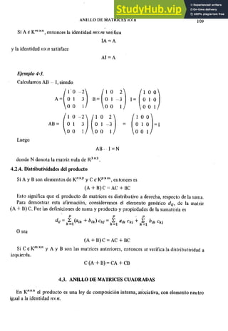 ALGEBRA II Armando Rojo.pdf